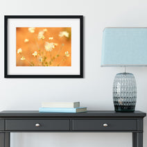 Floral Wall Art, Desert Flower Fine Art Photography Print