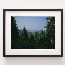 Tirage photo de forêt ensoleillée et moussue, parc national Olympique