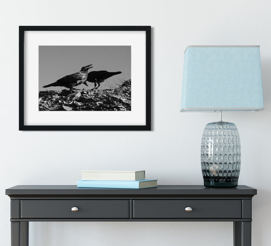 Ravens in Glacier, Black and White Photo Print