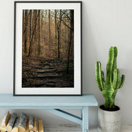 Autumn Forest Trail, Black and White Photography Print