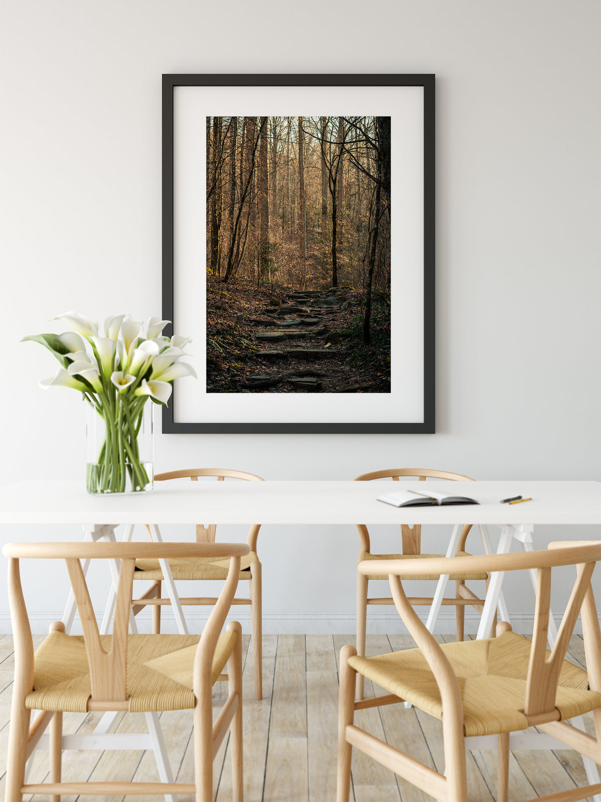 Autumn Forest Trail, Black and White Photography Print