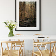 Autumn Forest Trail, Black and White Photography Print