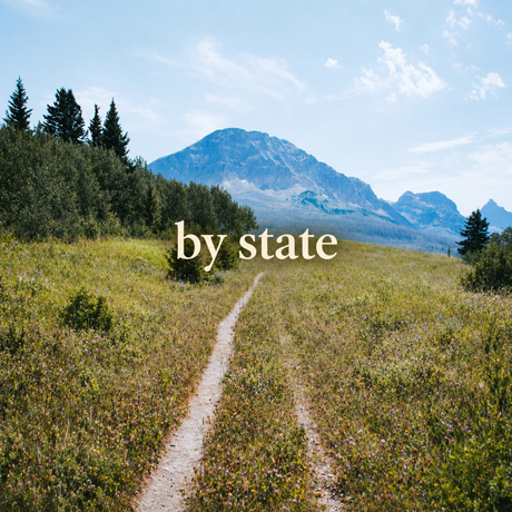 Square collection cover with lowercase by state text