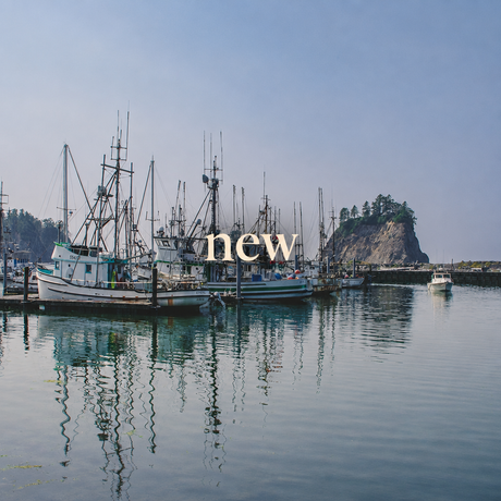 Square collection cover with lowercase new text