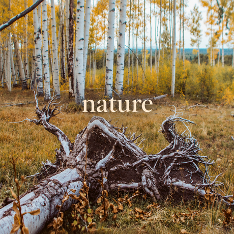 Square nature collection cover
