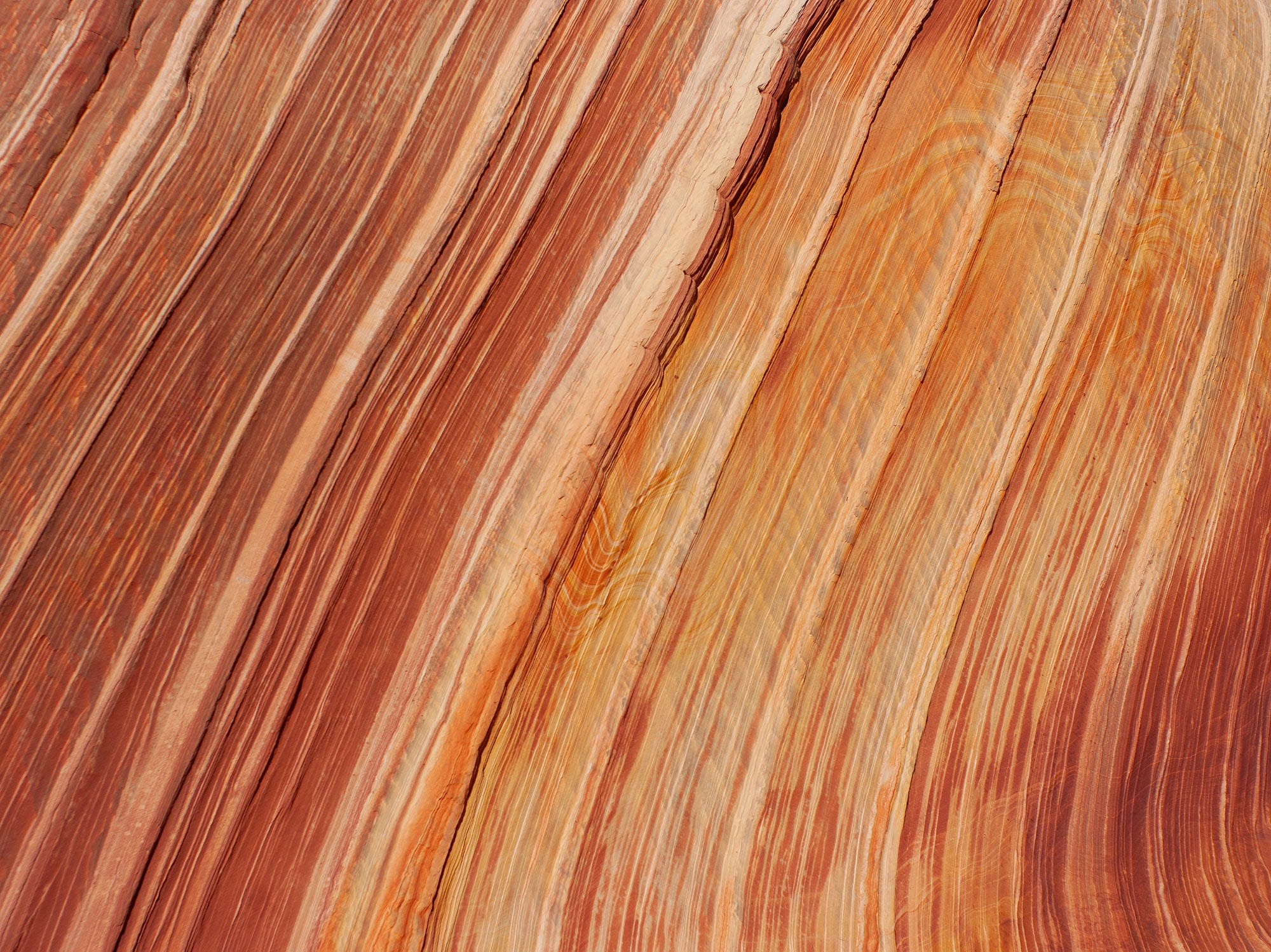 Orange Sandstone Canyon Wall Art | Arizona Fine Art Photography
