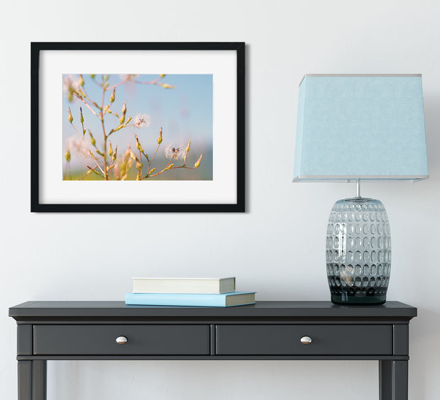 Pre-Flight Wishes, Floral Photography Print