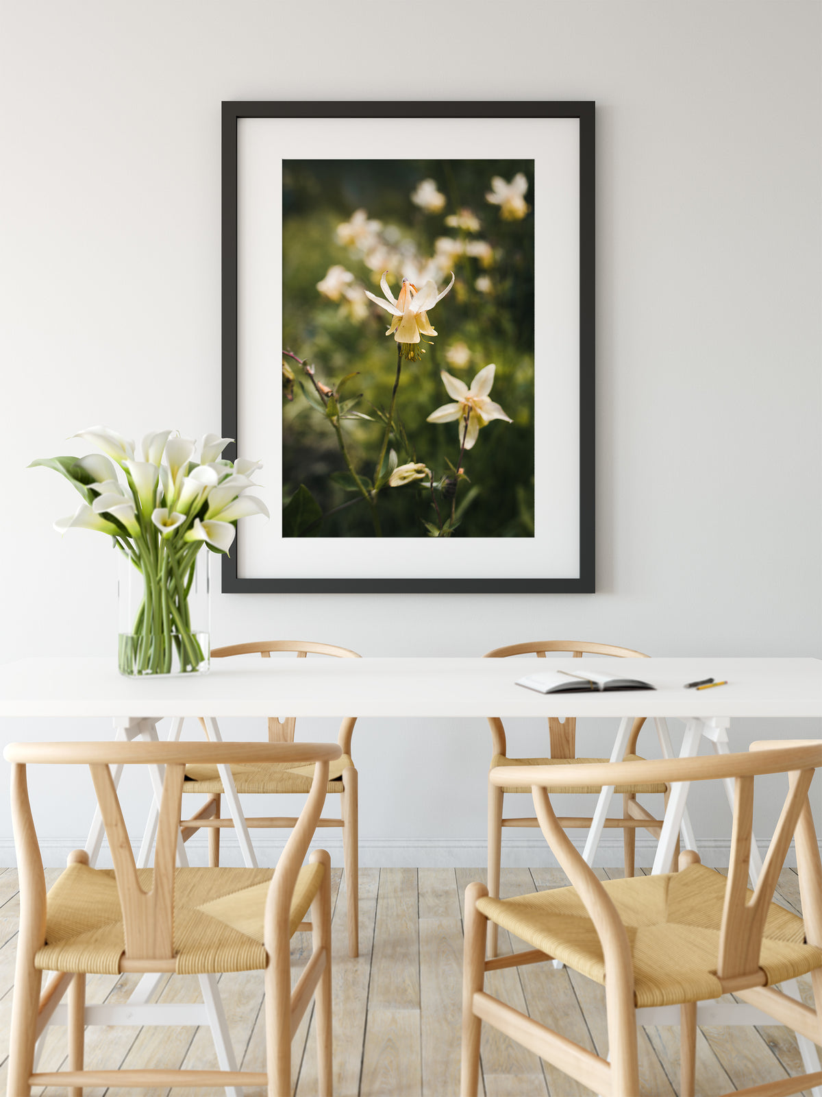 Golden Columbine Flower Photograph Print