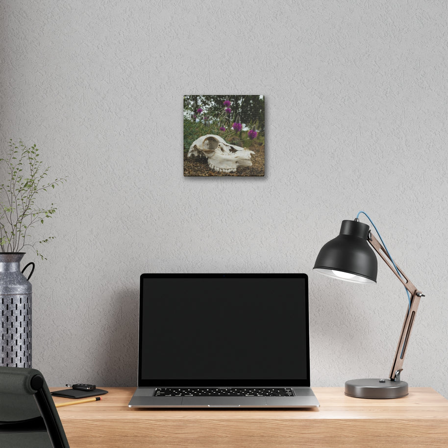 Skull and Flowers Canvas Print