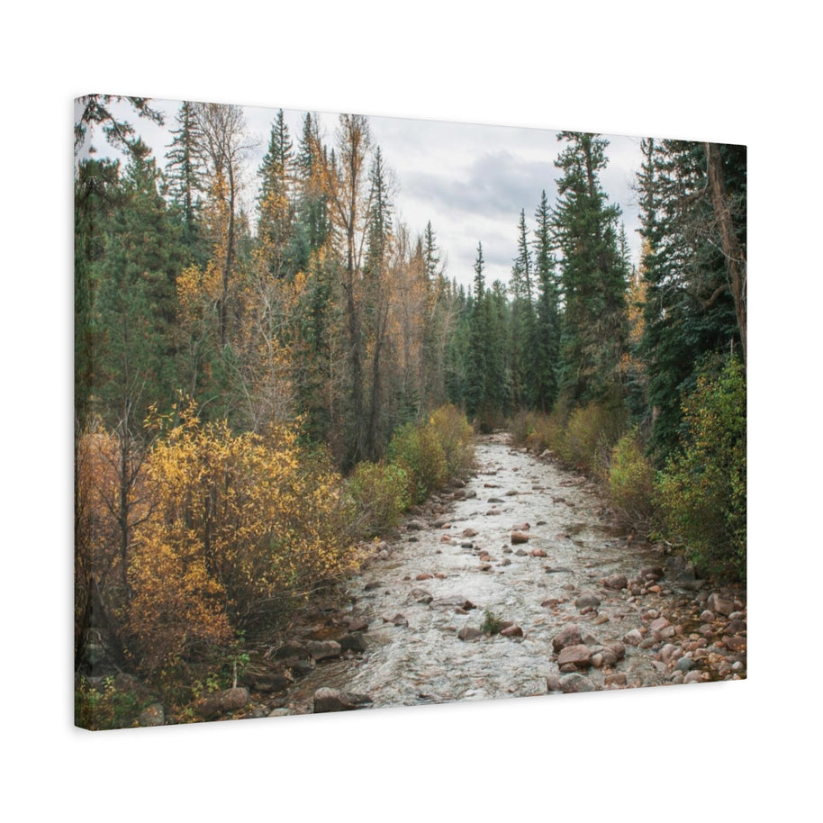 Autumn River in Colorado – Matter Leinwanddruck – fertig zum Aufhängen