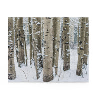 Winter Aspen Forest Jigsaw Puzzle 252 or 500 Piece -
