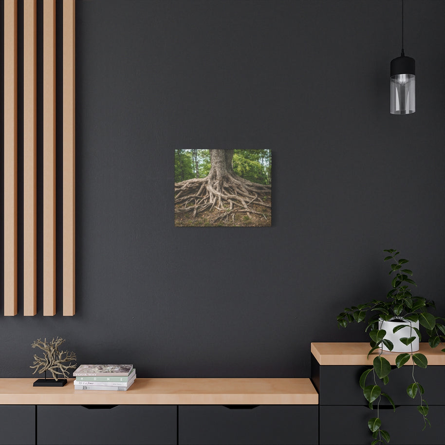 Impression sur toile mate « Racines de l'arbre de vie » - Prêt à accrocher