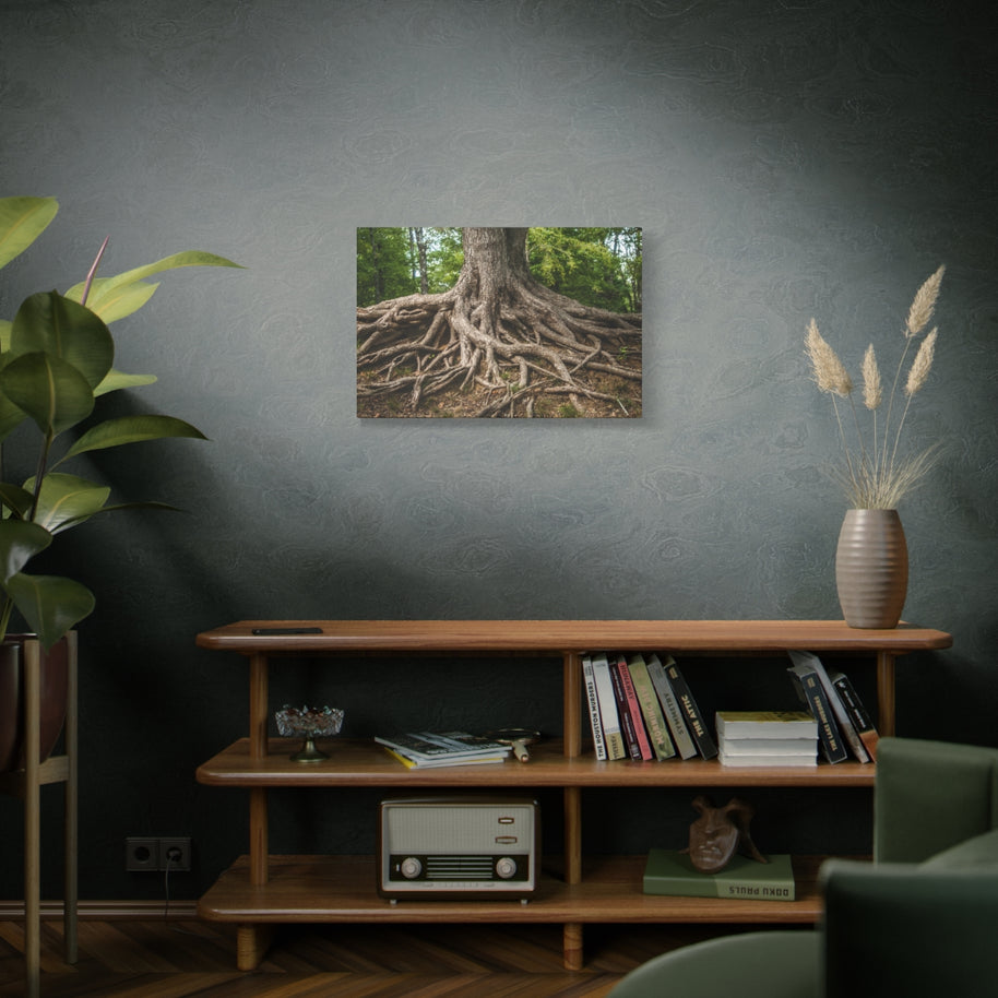 Impression sur toile mate « Racines de l'arbre de vie » - Prêt à accrocher