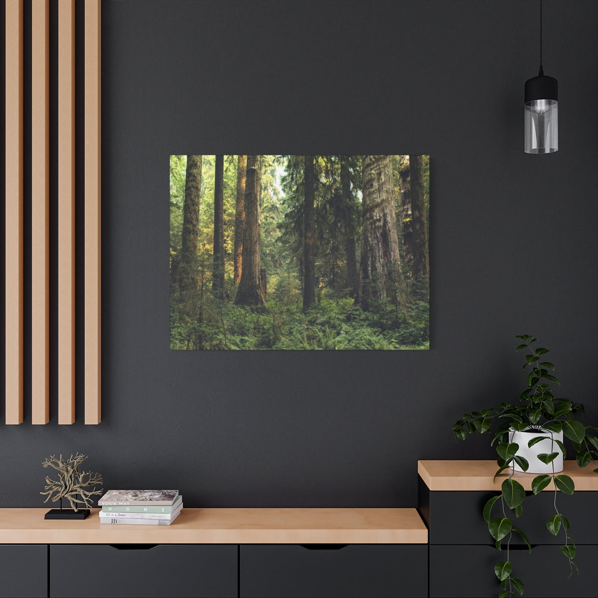 Olympic National Forest Matte Canvas Print - Ready to Hang Art
