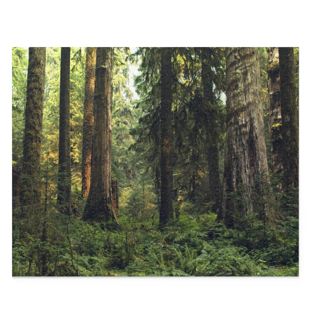 Pacific Northwest Forest Jigsaw Puzzle 252 or 500 Piece -