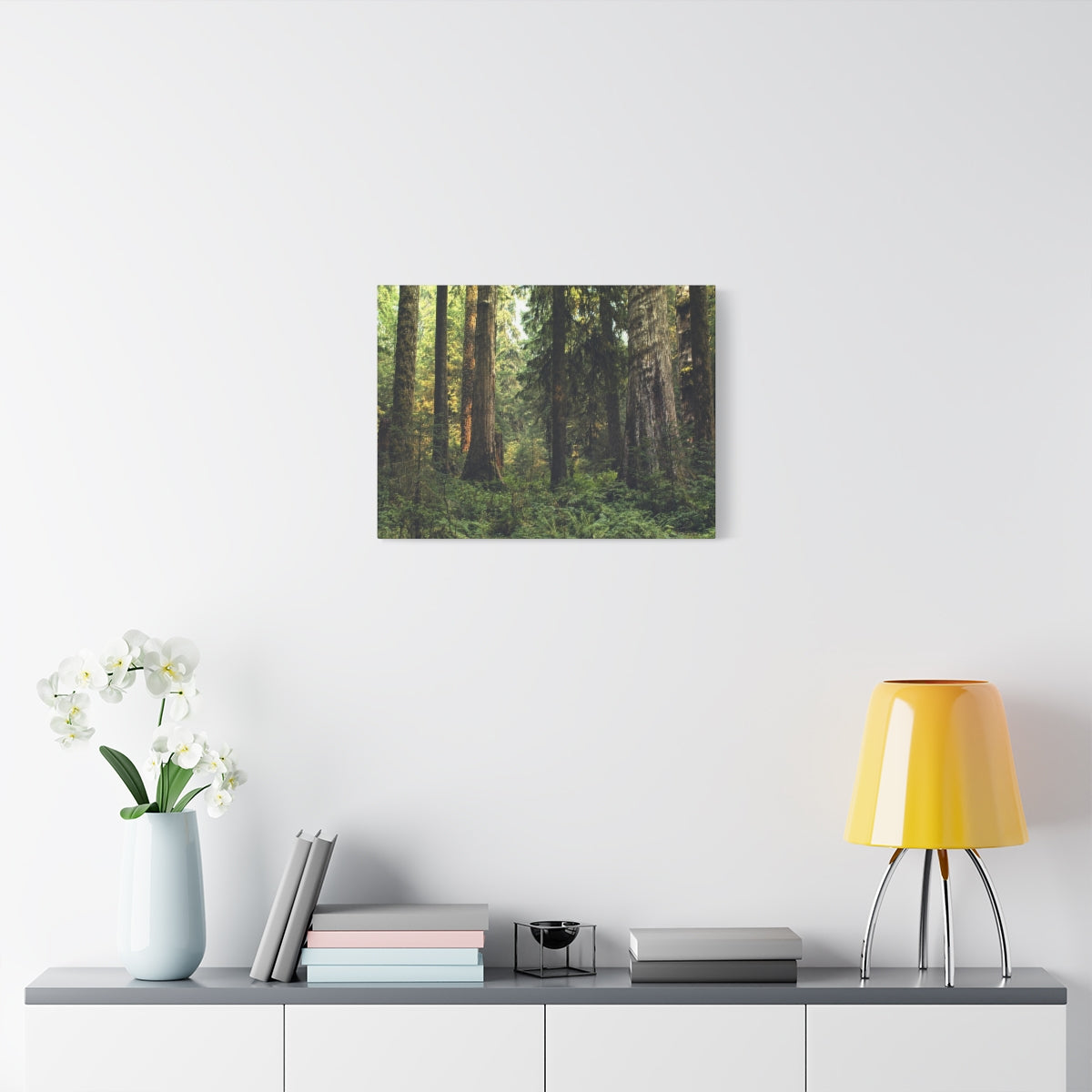 Olympic National Forest Matte Canvas Print - Ready to Hang Art