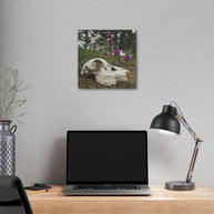 Skull and Flowers Canvas Print