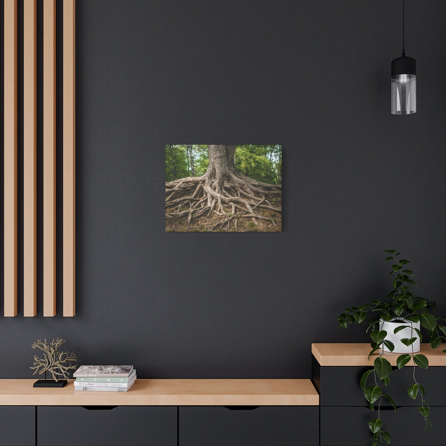 Impression sur toile mate « Racines de l'arbre de vie » - Prêt à accrocher