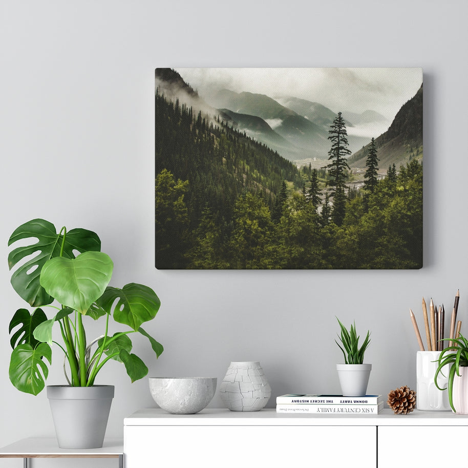 Mountain Valley, Colorado Canvas Gallery Wrap – Nebeliger Wald