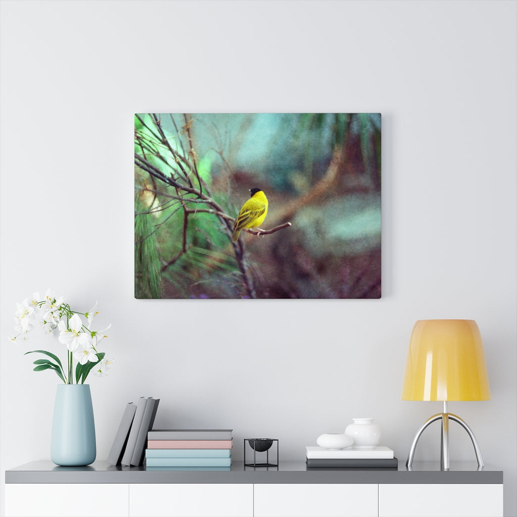 Yellow Bird Canvas Gallery Wraps Colorful Film Photography