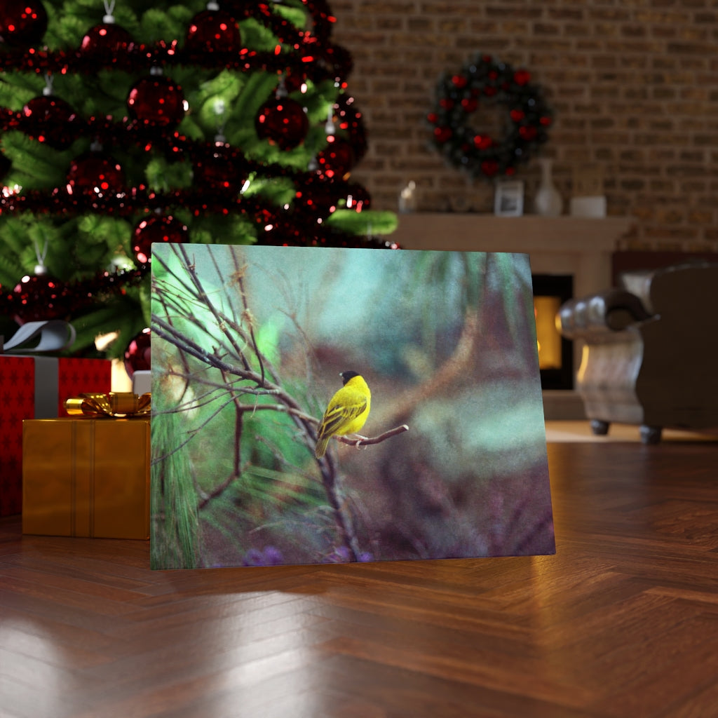 Yellow Bird Canvas Gallery Wraps Colorful Film Photography