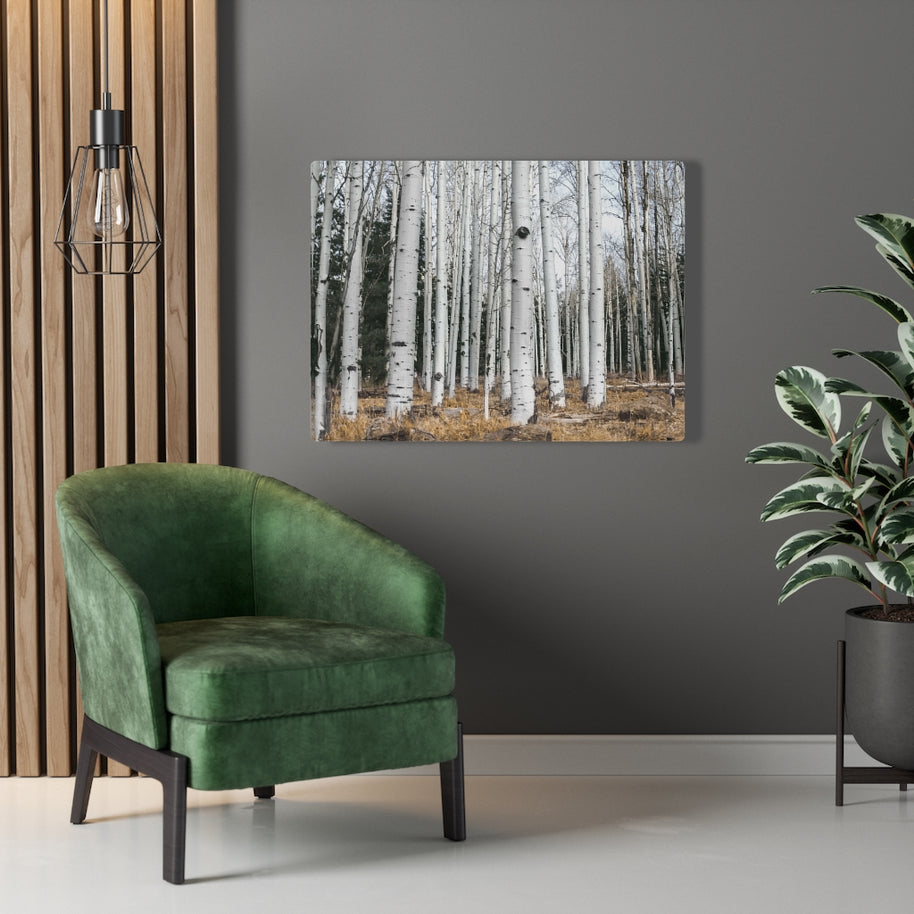 Birkenwald-Leinwand-Galeriefolie, rustikale Wandkunst, Flagstaff Humphrey's Peak