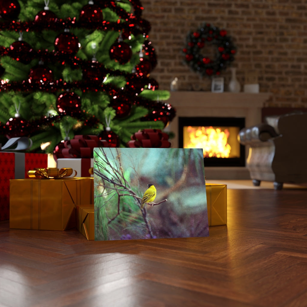 Yellow Bird Canvas Gallery Wraps Colorful Film Photography