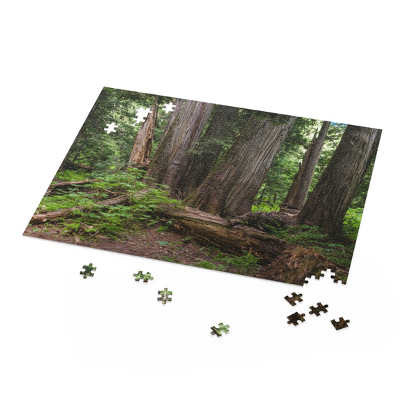 Cedar Grove Jigsaw Puzzle 252 or 500 Piece - Lush Forest