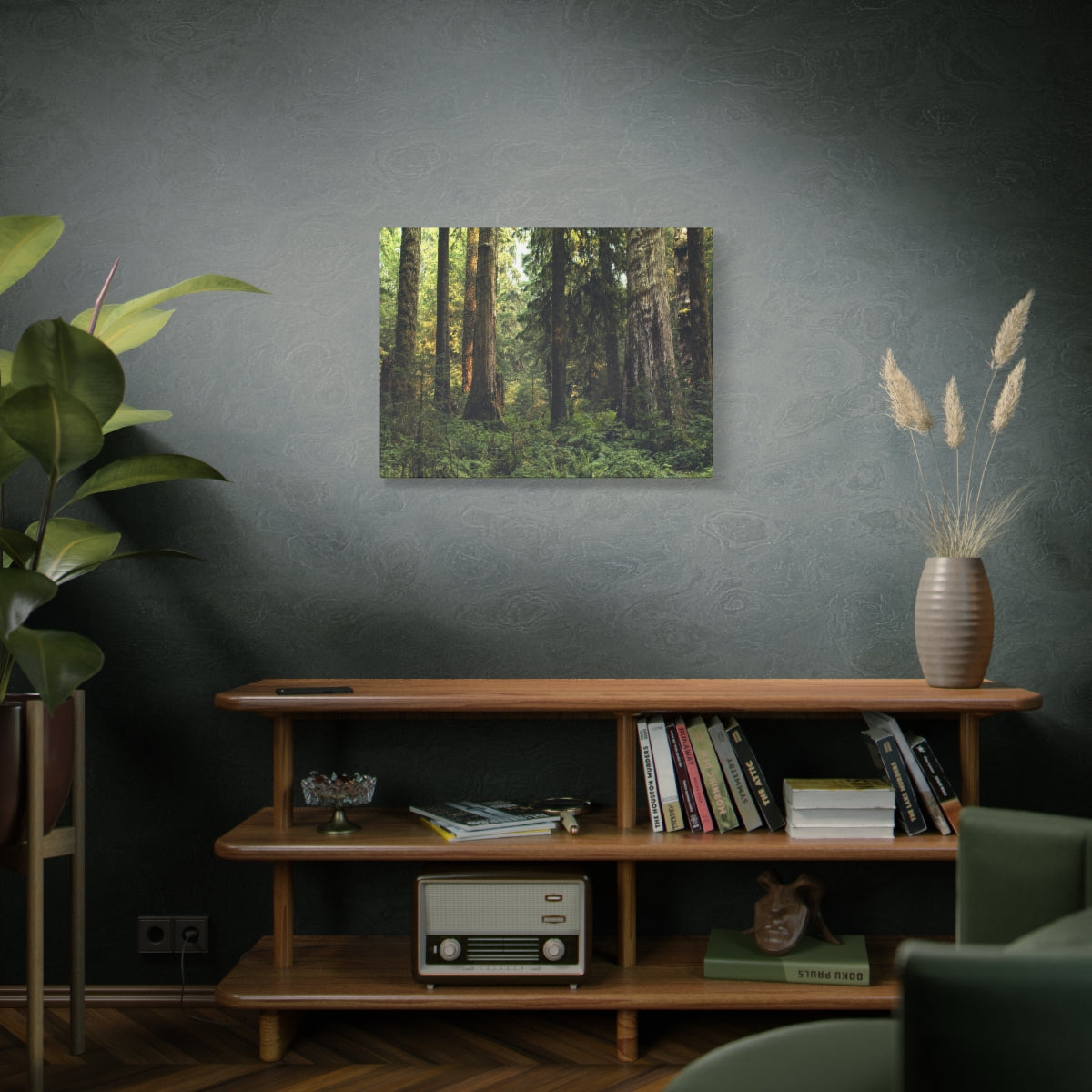 Olympic National Forest Matte Canvas Print - Ready to Hang Art