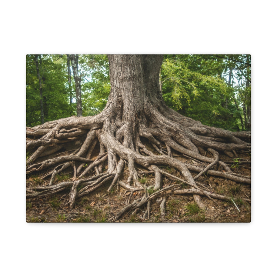 Impression sur toile mate « Racines de l'arbre de vie » - Prêt à accrocher