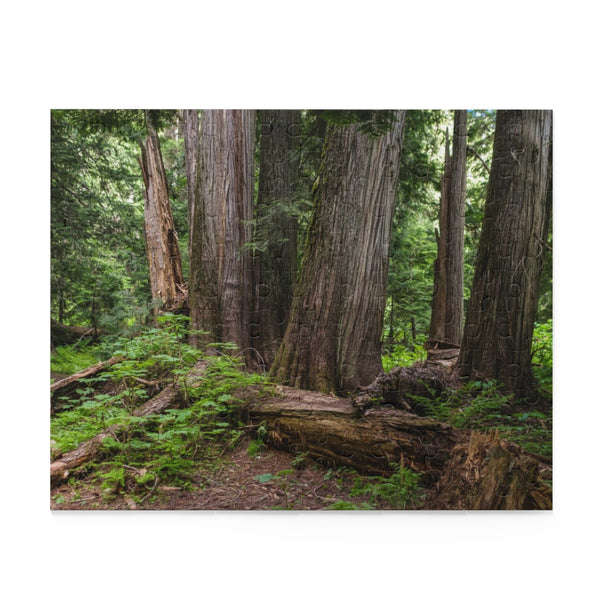 Cedar Grove Jigsaw Puzzle 252 or 500 Piece - Lush Forest -