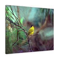 Yellow Bird Canvas Gallery Wraps Colorful Film Photography -