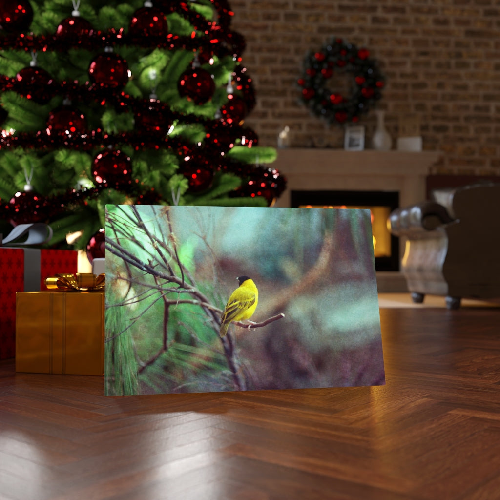 Yellow Bird Canvas Gallery Wraps Colorful Film Photography