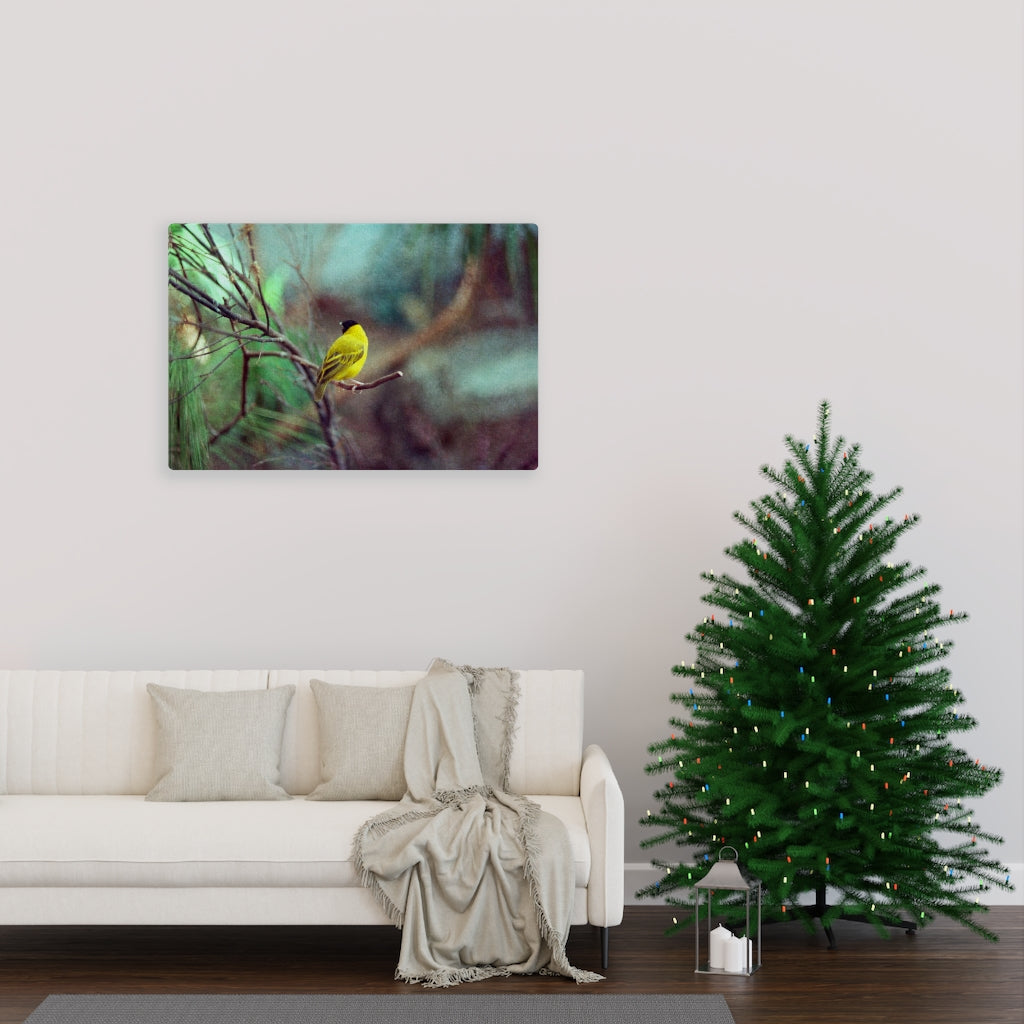 Yellow Bird Canvas Gallery Wraps Colorful Film Photography