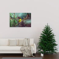 Yellow Bird Canvas Gallery Wraps Colorful Film Photography
