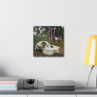 Skull and Flowers Canvas Print
