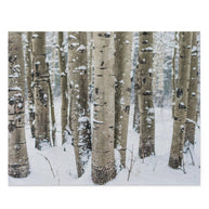 Winter Aspen Forest Jigsaw Puzzle 252 or 500 Piece -