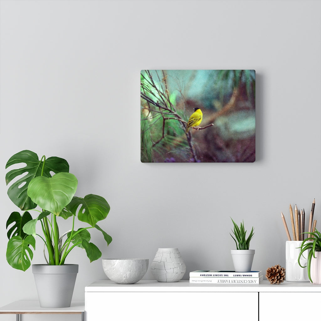 Yellow Bird Canvas Gallery Wraps Colorful Film Photography