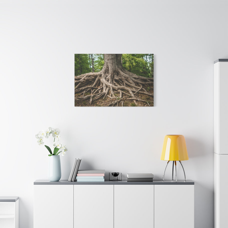 Impression sur toile mate « Racines de l'arbre de vie » - Prêt à accrocher