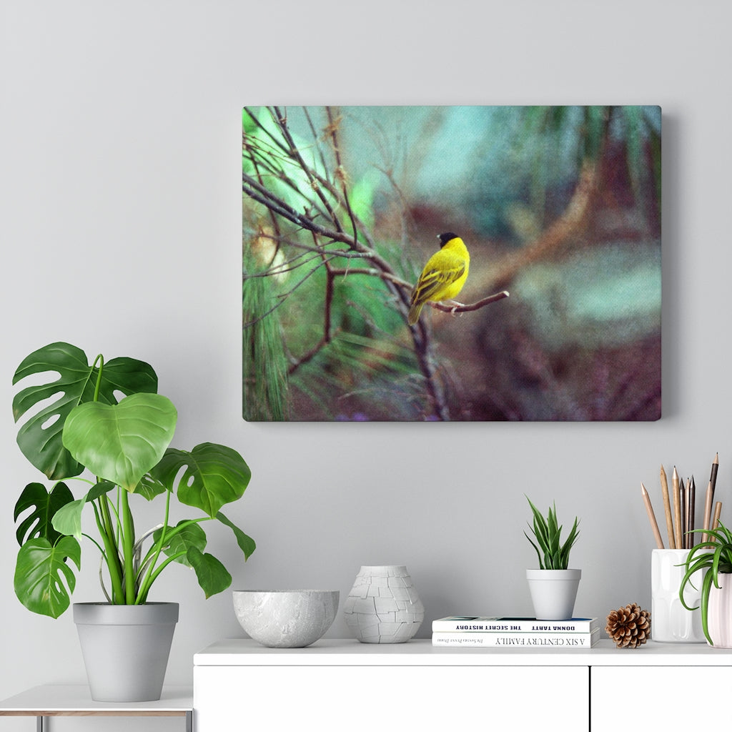Yellow Bird Canvas Gallery Wraps Colorful Film Photography
