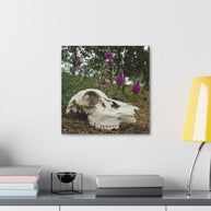 Skull and Flowers Canvas Print
