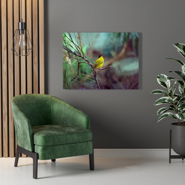 Yellow Bird Canvas Gallery Wraps Colorful Film Photography -
