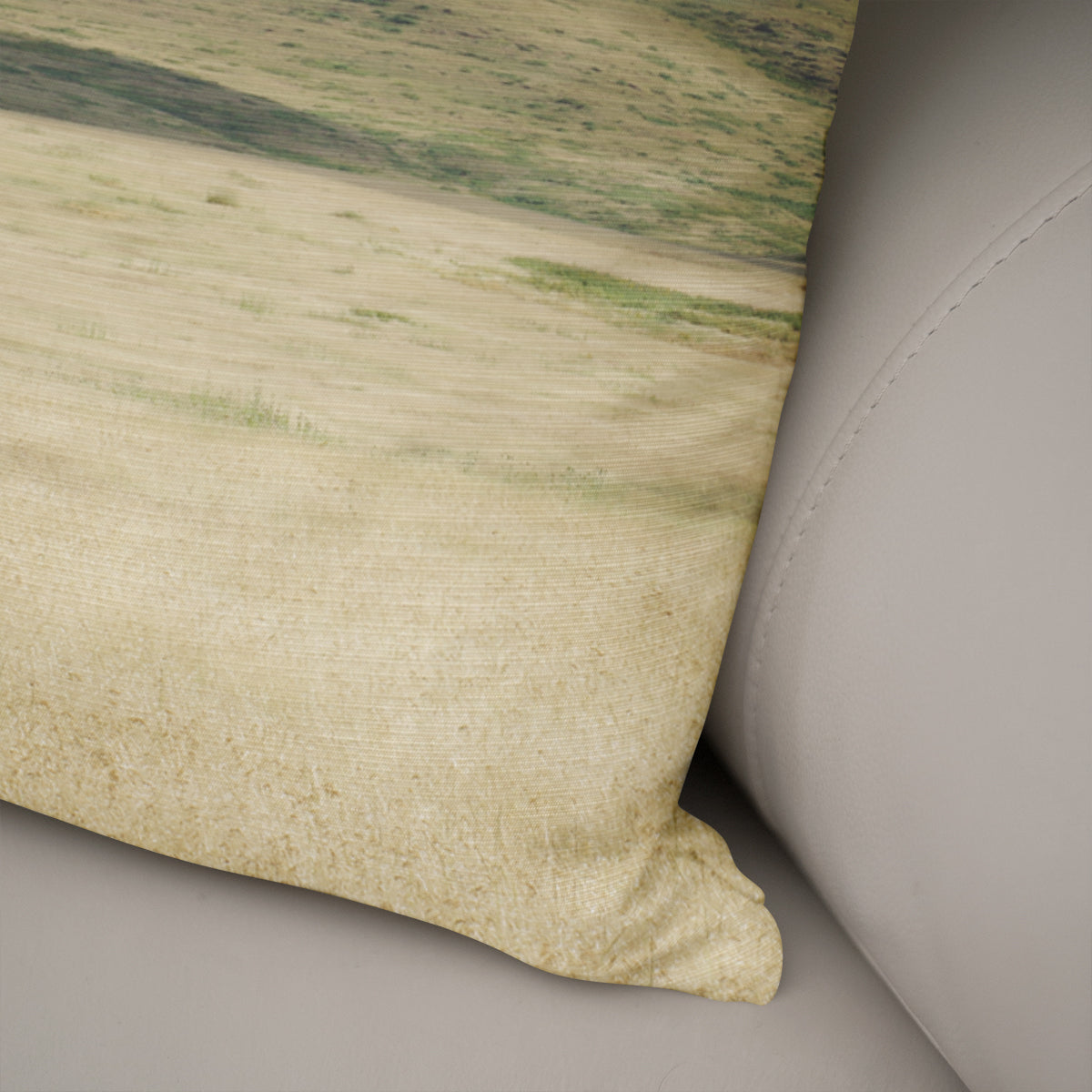 Bison Throw Pillow Cover Home On the Range Montana Decor -