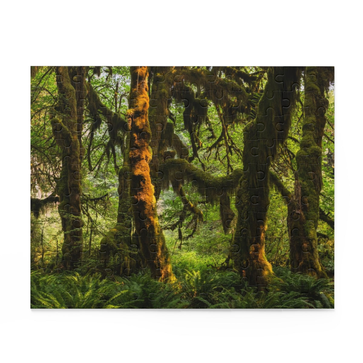 Mossy Forest Jigsaw Puzzle 252 or 500 Piece - Olympic