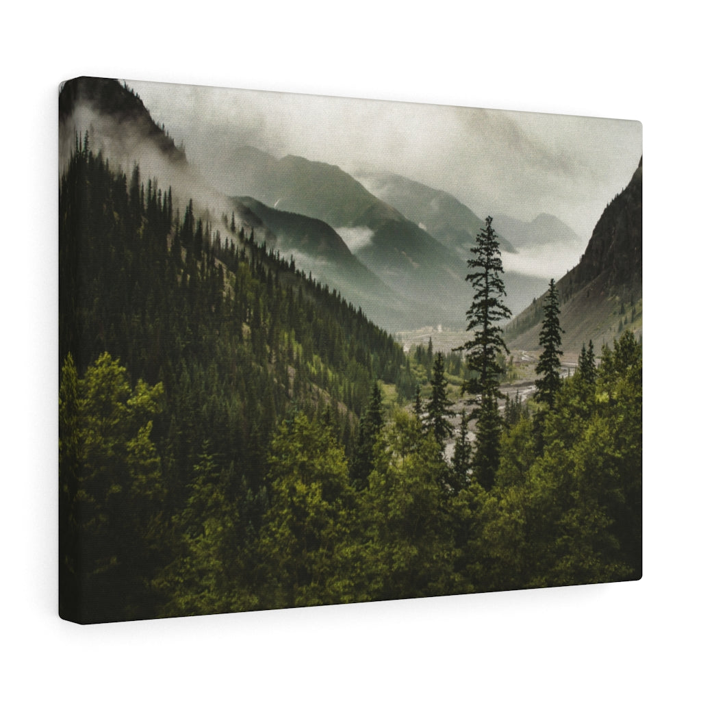 Mountain Valley, Colorado Canvas Gallery Wrap – Nebeliger Wald