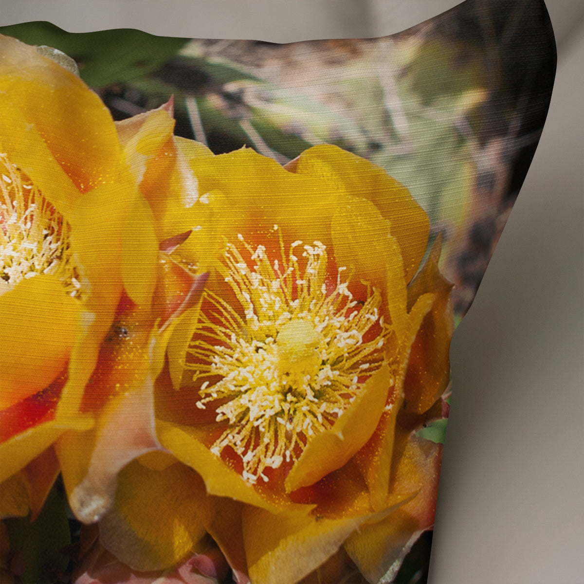 Desert Flower Decorative Throw Pillow Cover - Pillows