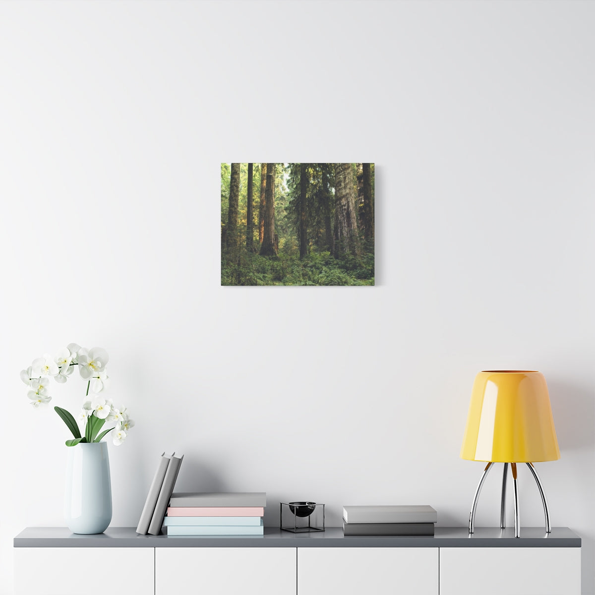 Olympic National Forest Matte Canvas Print - Ready to Hang Art