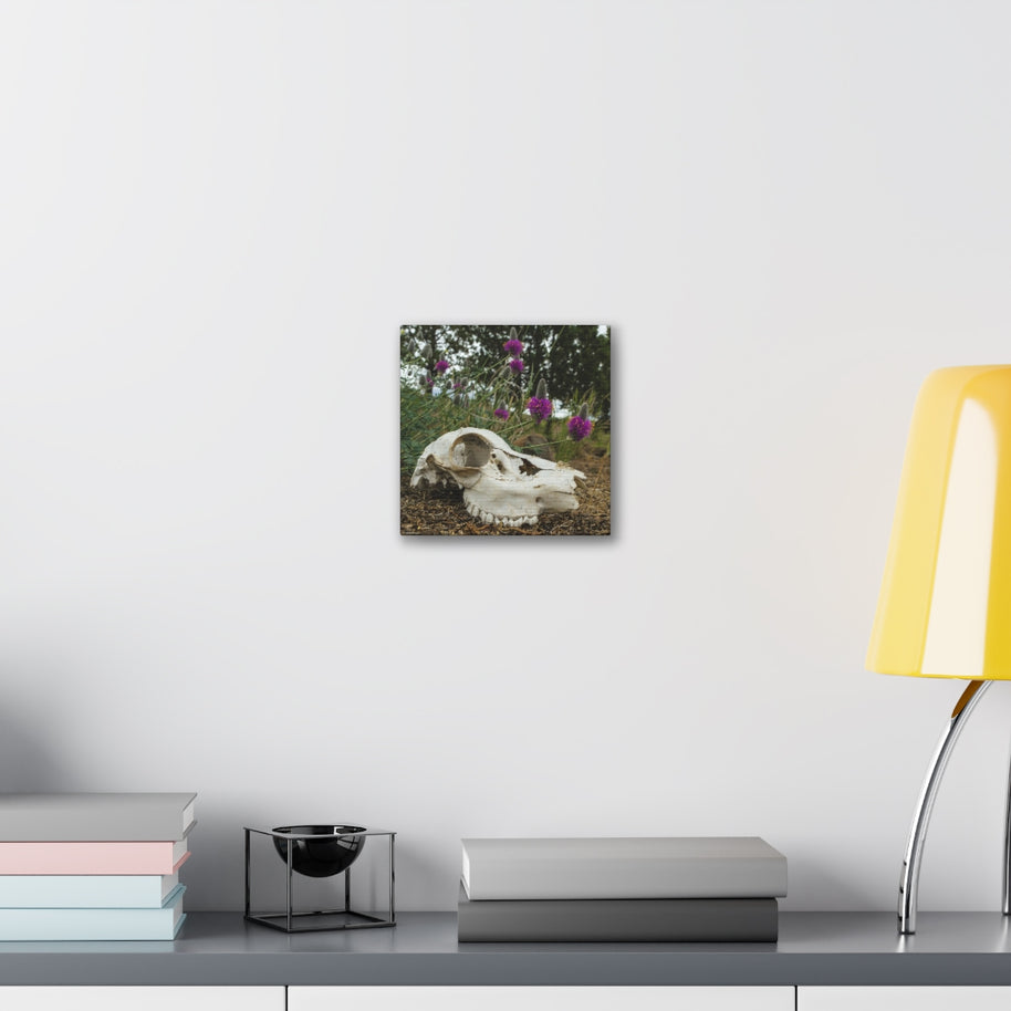 Skull and Flowers Canvas Print