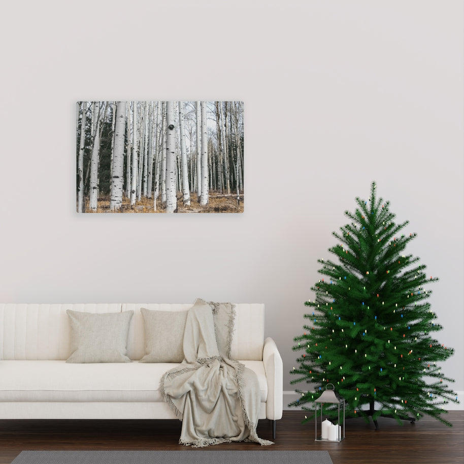 Birkenwald-Leinwand-Galeriefolie, rustikale Wandkunst, Flagstaff Humphrey's Peak