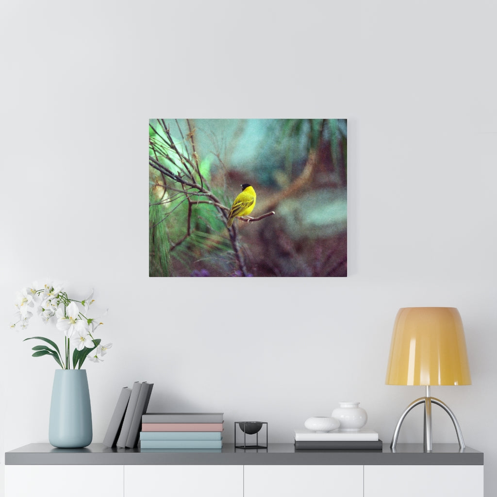 Yellow Bird Canvas Gallery Wraps Colorful Film Photography